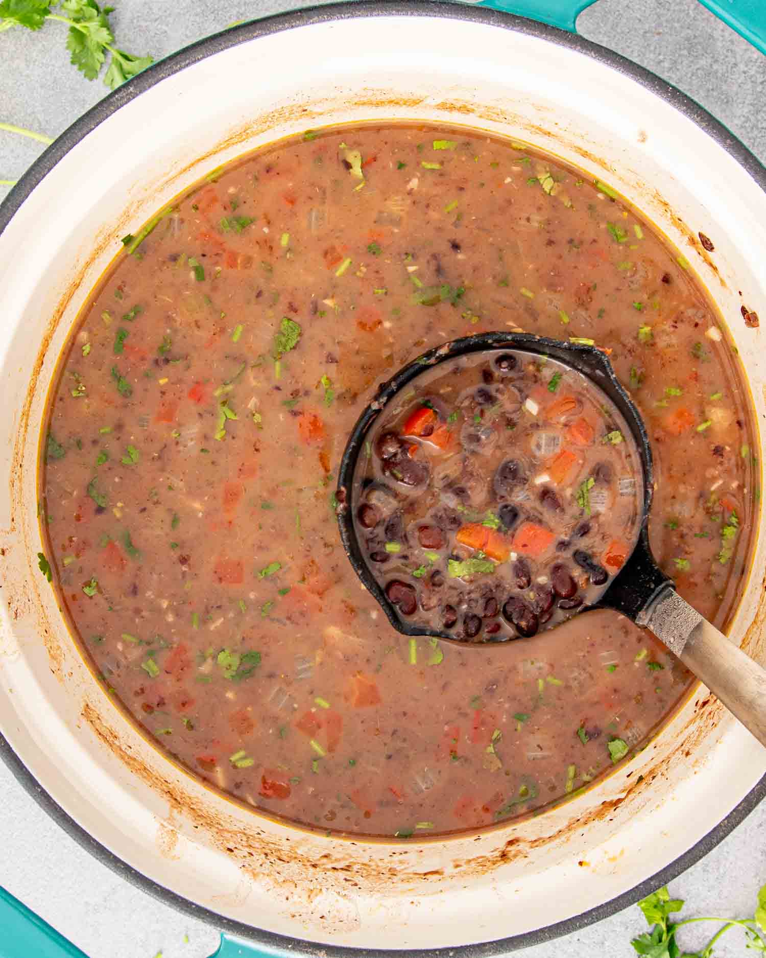 black bean soup in a dutch oven with a ladle in it.