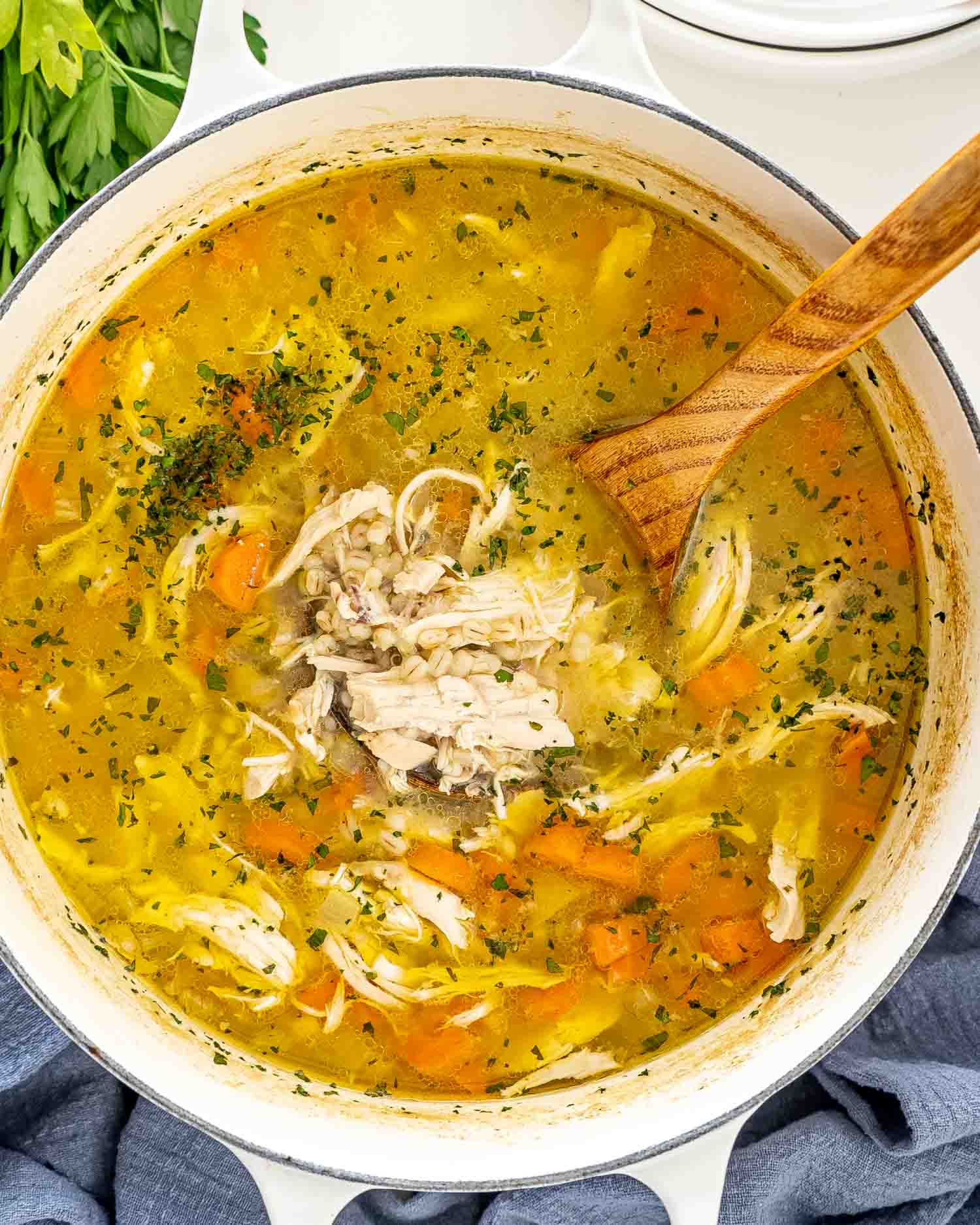 closeup of a ladle in a dutch oven full of chicken barley soup.