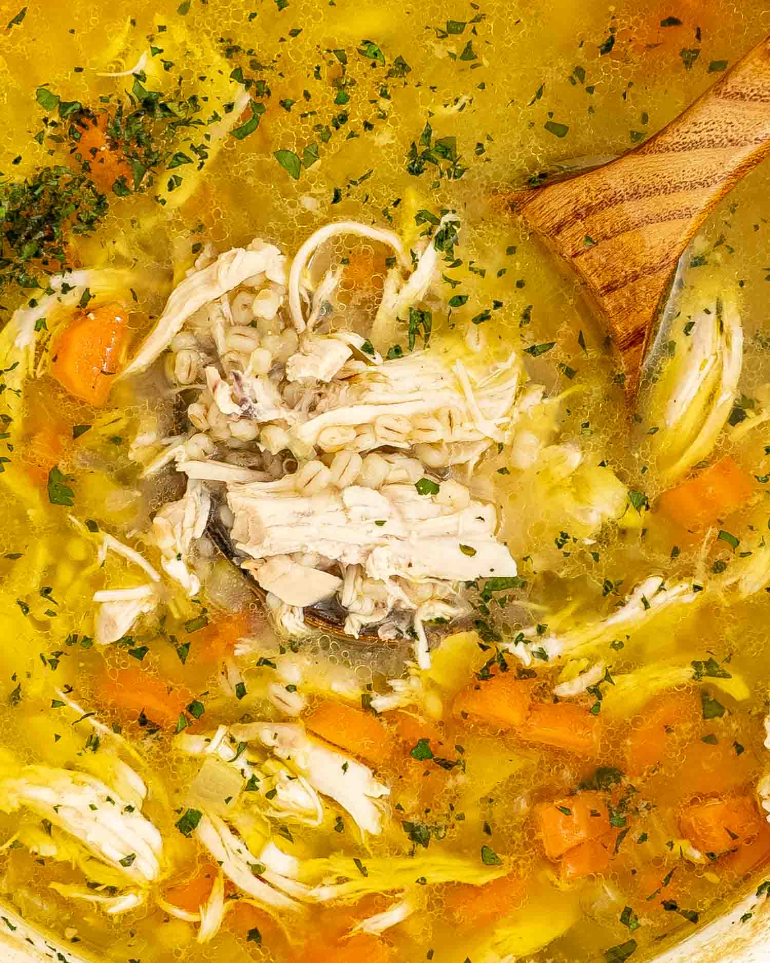 closeup of a ladle in a dutch oven full of chicken barley soup.