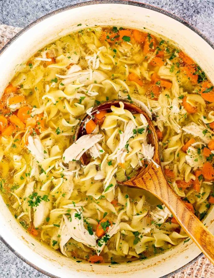 freshly made chicken noodle soup in a large dutch oven.