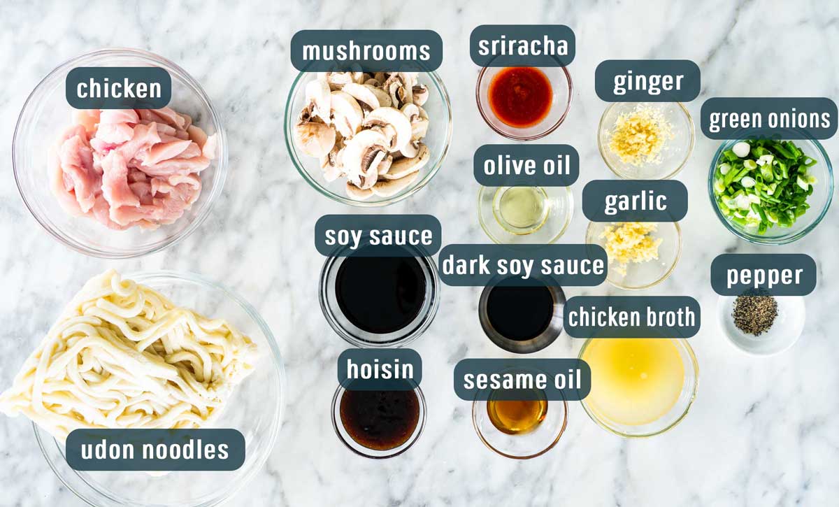 overhead shot of all the ingredients needed to make hoisin chicken udon noodles