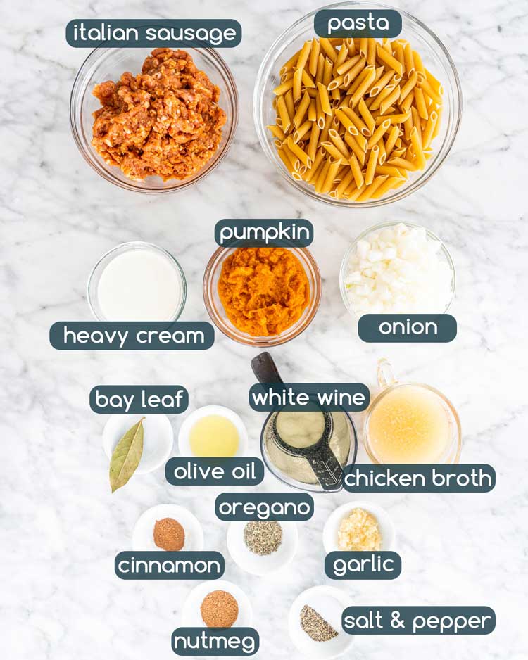 overhead shot of all ingredients needed to make pumpkin sausage pasta