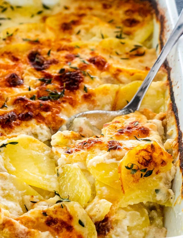 freshly made potatoes au gratin in a casserole dish.