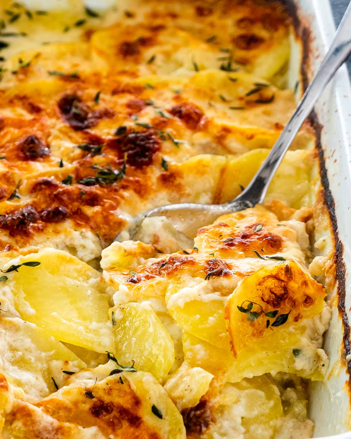 freshly made potatoes au gratin in a casserole dish.